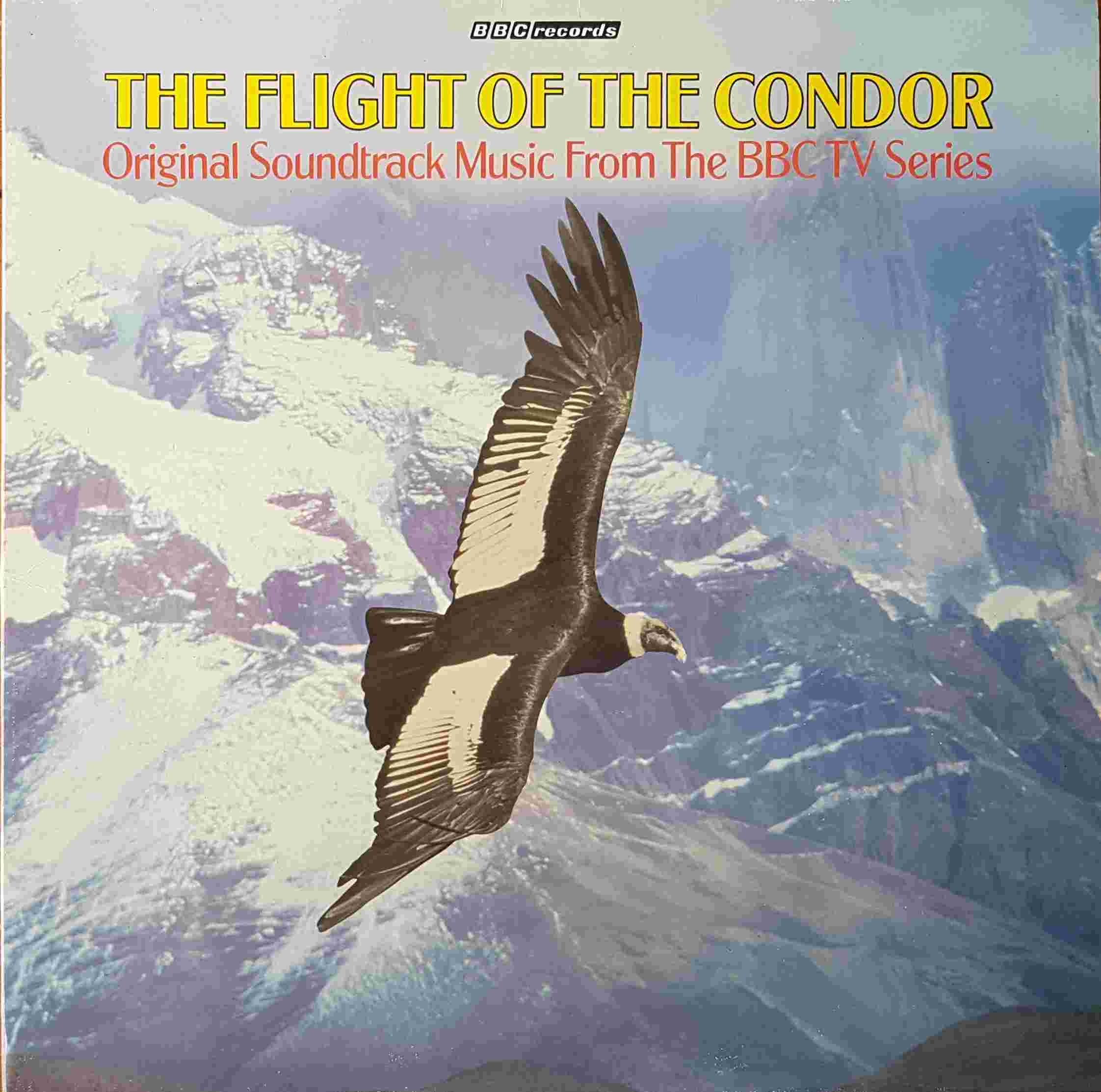 Picture of REB 440 Flight of the condor by artist Various